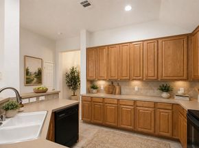 1505  Heather Brook Drive , Allen Texas 75002