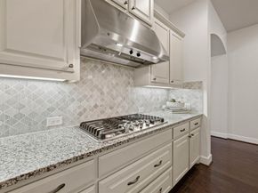 1019  Ivy Charm Way , Arlington Texas 76005