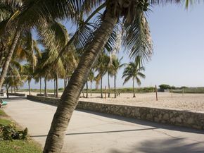 7135 Collins Ave 1806, Miami Beach FL 33141