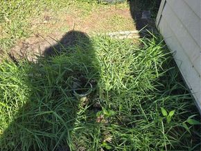 2941 NW 210th Ter, Miami Gardens FL 33056