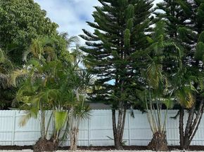 15411 NE 10th Ave, North Miami Beach FL 33162