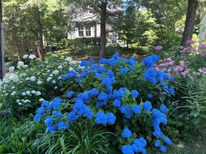 21 Howe St, Wellesley MA 02482