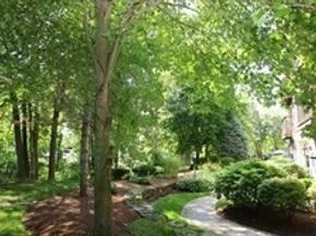 4D Forge Pond D, Canton MA 02021