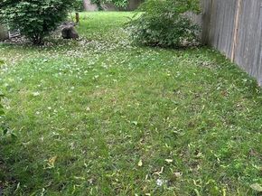 189 South Street, Randolph MA 02368