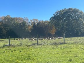 295 Cherry St, Middleboro MA 02346