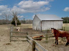 295 Cherry St, Middleboro MA 02346