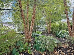 339 Winthrop St, Winthrop MA 02152