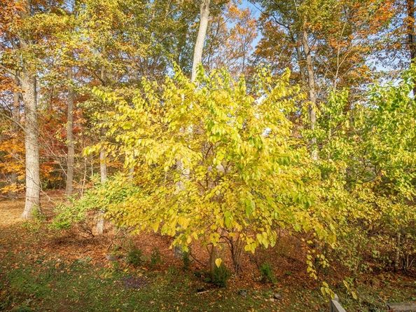 134 Chestnut Circle 134, Lincoln MA 01773