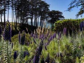 100 Seascape Resort Drive, Aptos CA 95003