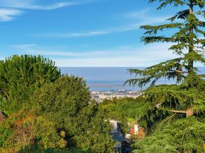 733 Temescal Way, Redwood City CA 94062