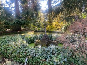 269 Selby Lane, Atherton CA 94027