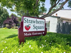 4849 Cherrythorne Lane, San Jose CA 95129
