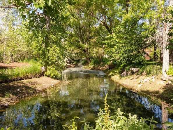 3935 Pierson Street, Wheat Ridge CO 80033