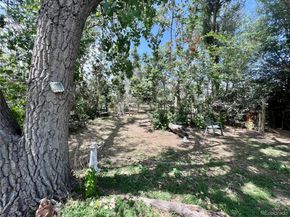 13679 Raleigh Street, Broomfield CO 80023