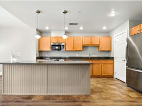 1631 N Emerson Street 207, Denver CO 80218