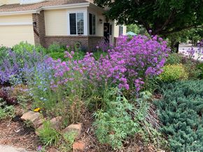 6810 Simms Court, Arvada CO 80004