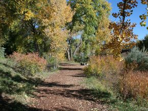10735 Zuni Drive, Denver CO 80234