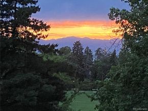 1111 Race Street 4B, Denver CO 80206