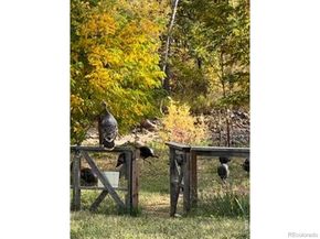 217 Park Street, Lyons CO 80540