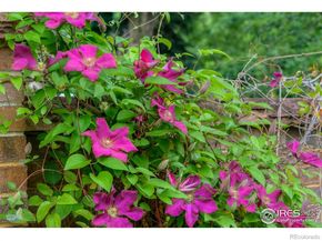 604 Mapleton Avenue, Boulder CO 80304
