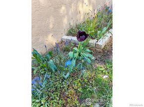 2734 Northbrook Place, Boulder CO 80304