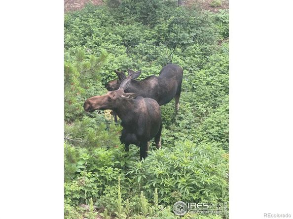 12023 Coal Creek Heights Drive, Golden CO 80403