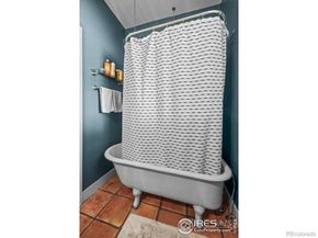 1056 S Pennsylvania Street, Denver CO 80209