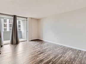 909 N Logan Street 4A, Denver CO 80203