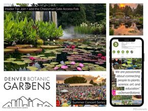 1313 N Williams Street 503, Denver CO 80218