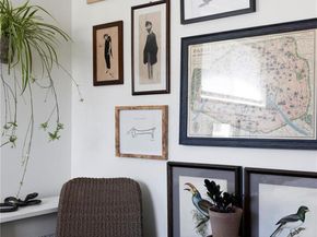 950 N Ogden Street 1, Denver CO 80218