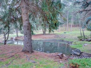 23518 Pondview Place, Golden CO 80401