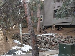 23518 Pondview Place, Golden CO 80401