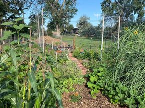 6404 Benton Street, Arvada CO 80003