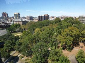1485 5th Avenue 13A, New York NY 10035