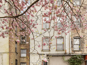 523 West 141st Street, New York NY 10031