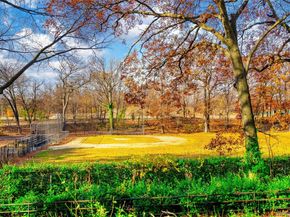 2244 Bronx Park E 1E, Bronx NY 10467
