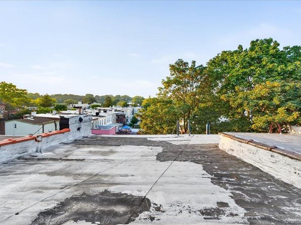 255 Ridgewood Avenue, Brooklyn NY 11208