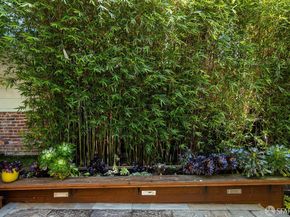 1623 Hyde Street, San Francisco CA 94109