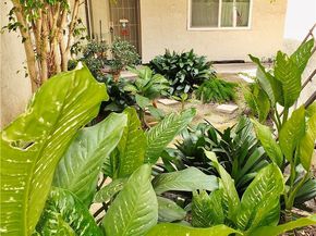 4591 Orange Avenue 306, Long Beach CA 90807