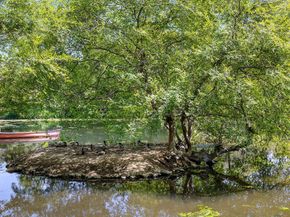 1265 Club House Drive, Pasadena CA 91105