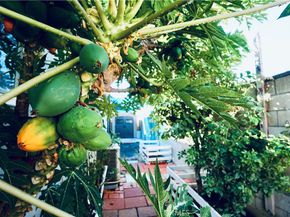 15041 Cerecita Drive, Whittier CA 90604