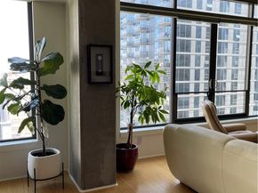 1111 S Grand 1015, Los Angeles CA 90015