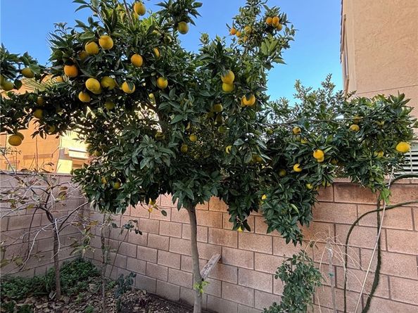 4863 S Bountiful Trail, Ontario CA 91762