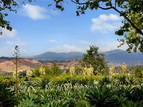 107 Orange Blossom Circle, Ladera Ranch CA 92694