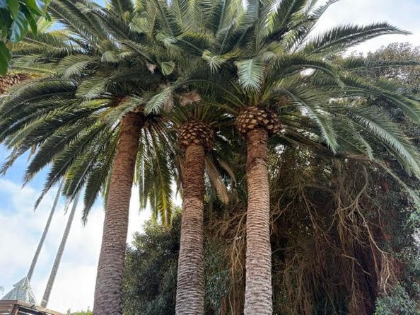 102 Trafalgar, San Clemente CA 92672