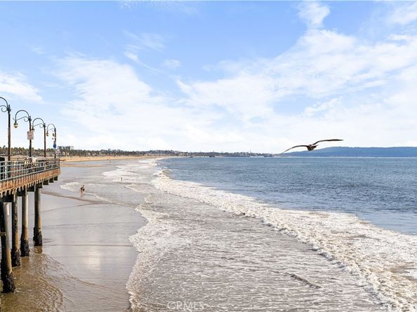 713 Flower Ave, Venice CA 90291