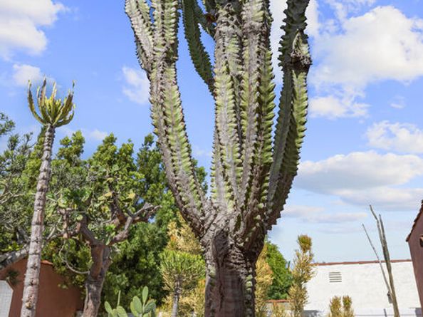 931 S Ogden Drive, Los Angeles CA 90036