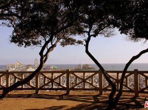 844 3rd Street 5, Santa Monica CA 90403