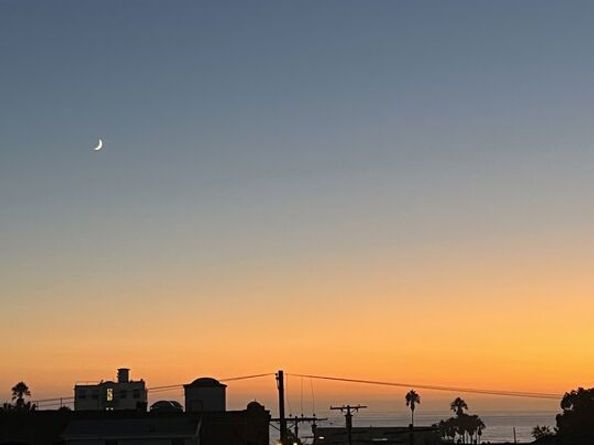 255 Main Street 305, Venice CA 90291