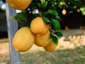 9711 Garibaldi Avenue, Temple City CA 91780